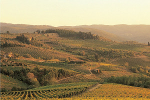 I Quanderni di WineNews - Il Chianti Classico