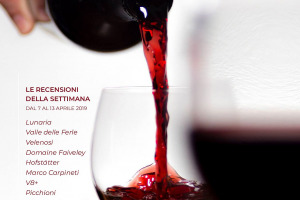 I Vini di WineNews - N. 44