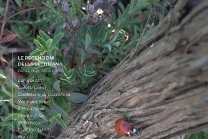 I Vini di WineNews - N. 45