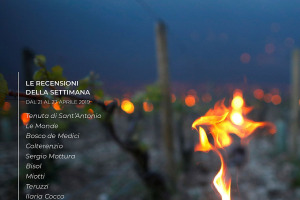 I Vini di WineNews - N. 46