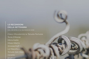 I Vini di WineNews - N. 47