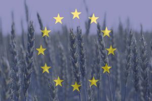 Elezioni Ue, l&rsquo;agricoltura italiana detta le priorit&agrave; al nuovo Parlamento, a partire dalla Pac