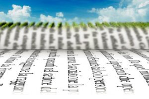 Vite e ulivo nei gioielli d’Italia: 11 maggio Giornata Nazionale della Cultura del Vino e dell’Olio