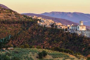 Fai e Mielizia, il “miele di San Francesco” a tutela di api e ambiente, nel progetto “Api nei Beni”