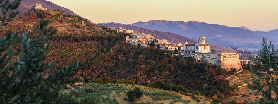 Il Bosco di San Francesco che sarà curato da Mielizia, in partnership con il Fai, tra apicoltura e cultura