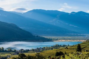 L’Alto Adige tutto da bere
