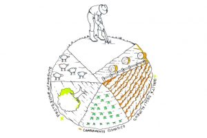 Nasce la Carta dei Valori a tutela del settore bio made in Italy firmata Cia-Agricoltori Italiani
