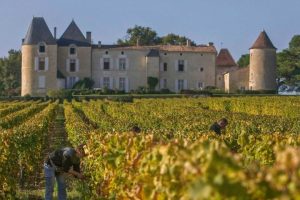 Sostenibilit&agrave; in vigna e rispetto per l&rsquo;ambiente: la svolta biodinamica di Ch&acirc;teau d&rsquo;Yquem