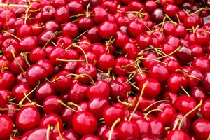 La ciliegia vittima del maltempo, -50% di produzione causa pioggia: Coldiretti lancia l’allarme La ciliegia vittima del maltempo, -50% di produzione causa pioggia: Coldiretti lancia l’allarme