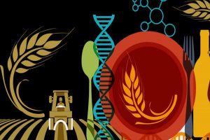 Food&Science, a Mantova torna il festival che celebra tecnologia e progresso nell&rsquo;agroalimentare