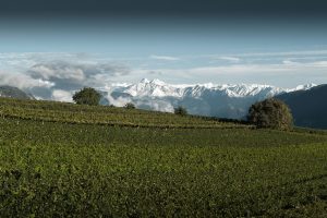L'Alto Adige: iniziamo dal non confonderlo con altro