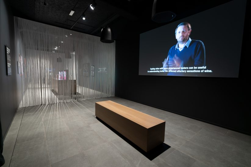 La “Wine Experience” di Mondodelvino, il vino attraverso i sensi