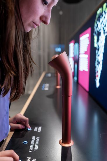 La “Wine Experience” di Mondodelvino, il vino attraverso i sensi