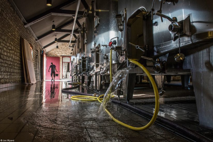 “Errazuriz Wine Photographer of the Year - Places” n. 1: Jon Wyand, “Vigneron Pruning Vines”