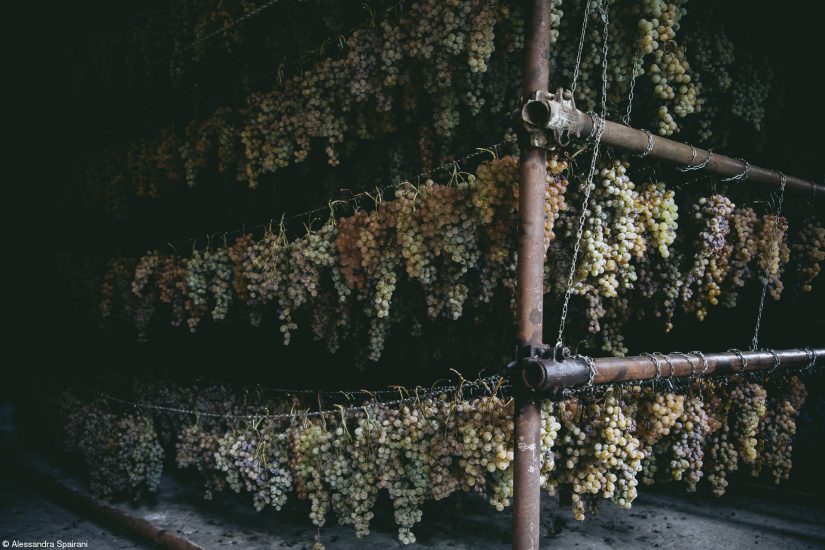 “Errazuriz Wine Photographer of the Year - Produce” n. 1: Alessandra Spairani, “Il Fruttaio”