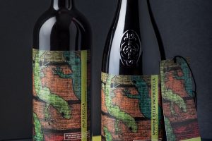 Cultura e beneficenza, il progetto “La Scuola nel Vigneto” tra Cantina e Scuola di Negrar