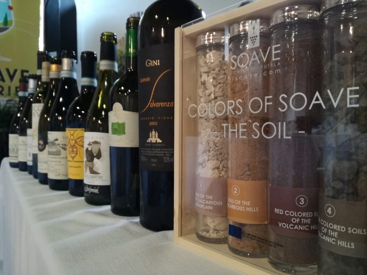 Territorio e longevità del Soave al Centro di Soave Stories