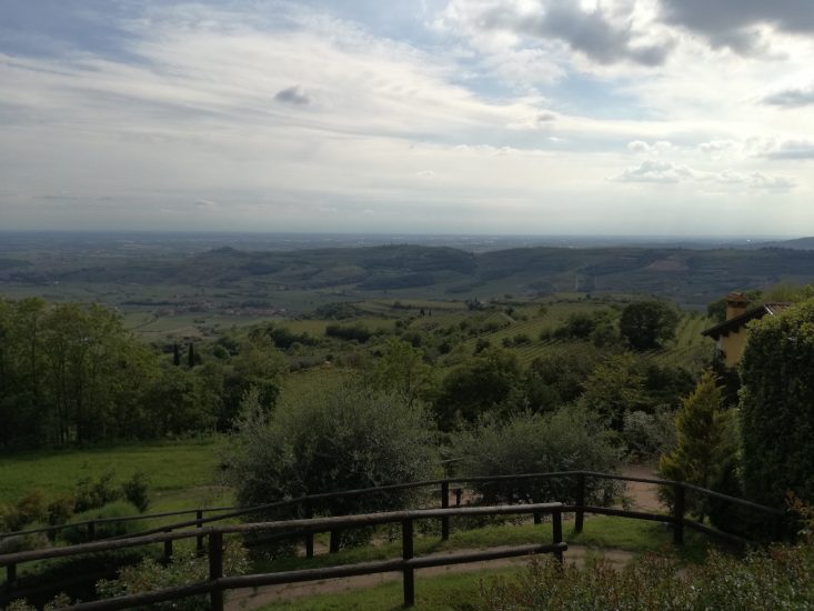 Territorio e longevità del Soave al Centro di Soave Stories