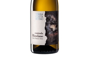 Terra Costantino, Doc Etna Bianco Contrada Blandano 2015