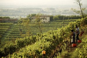 Immagini e parole che raccontano il territorio con le emozioni: “case histoy” Friuli Venezia Giulia