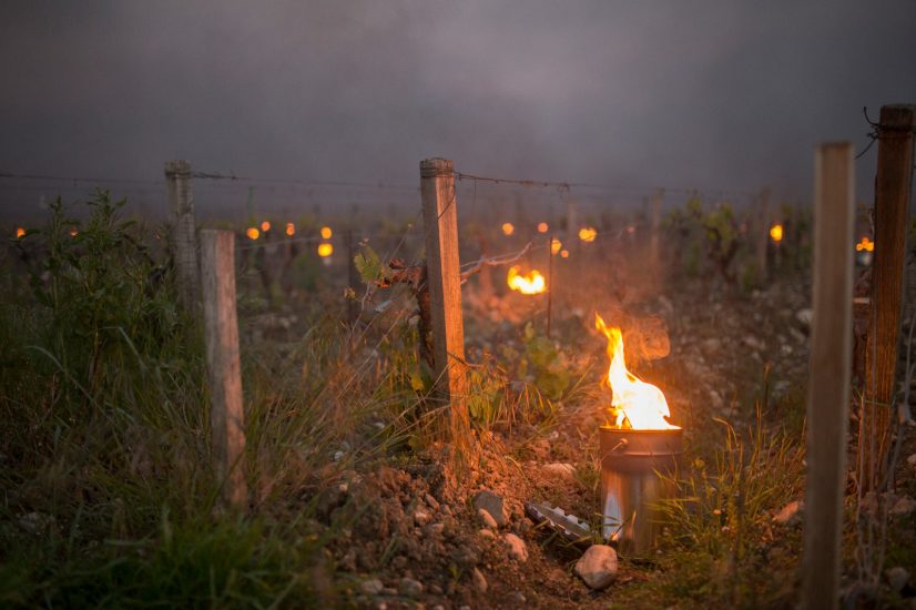 I fuochi per combattere le gelate