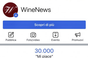 Da solo un anno su Facebook, WineNews raggiunge oggi i 30.000 followers