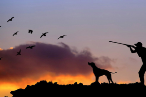 Il Ministro Centinaio: &ldquo;riportare la caccia sotto l&rsquo;egida delle Politiche Agricole&rdquo;