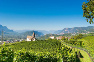 I Quaderni di WineNews - L'Alto Adige