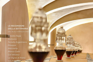 I Vini di WineNews - N. 48