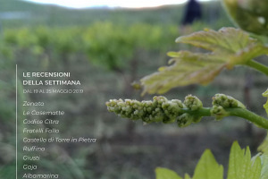 I Vini di WineNews - N. 50