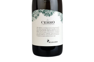 Belisario, Doc Verdicchio di Matelica Vigneti del Cerro 2018