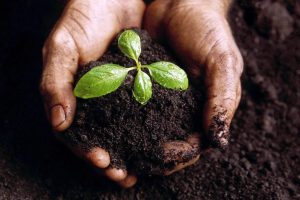 Coldiretti: distribuzione commerciale e standardizzazione dell’offerta minacciano la diversità