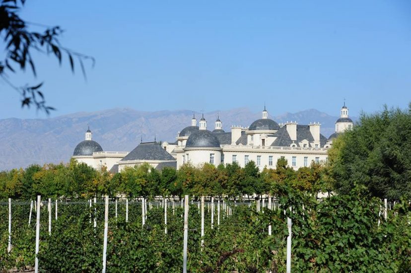Château Changyu Moser XV, a Ningxia, in Cina verso la biodinamica - Taittinger, altri 8,5 ettari in Uk