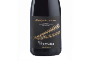 Colombo Cascina Pastori, Doc Piemonte Pinot Nero Apertura 2015