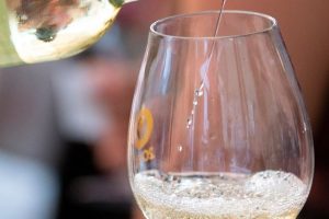 Pesaro sfida le polemiche con l’“Europa Street Food Festival, a Gavi ci si prepara per il Festival