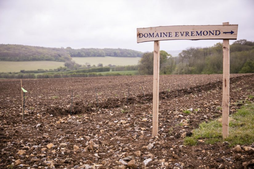 Château Changyu Moser XV, a Ningxia, in Cina verso la biodinamica - Taittinger, altri 8,5 ettari in Uk