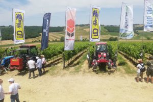 La risposta al climate change in vigna passa dallo studio del suolo, delle radici e dei portinnesti La risposta al climate change in vigna passa dallo studio del suolo, delle radici e dei portinnesti