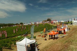 The response to climate change in the vineyards in the study of the soil, roots and rootstocks The response to climate change in the vineyards in the study of the soil, roots and rootstocks