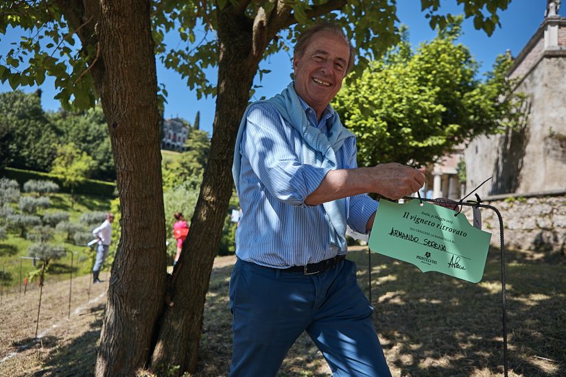 Il progetto de “Il vigneto ritrovato” nel centro di Venegazzù, curato dalla cantina Montelvini
