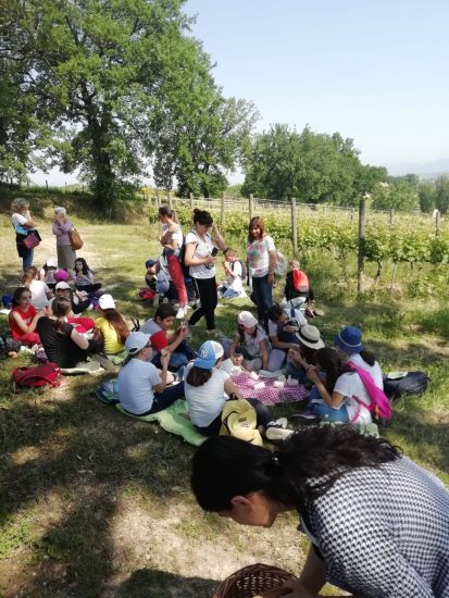  Il “Laboratorio per l’educazione al gusto” torna a Montefalco, sul legame tra vigneti, paesaggio e cultura