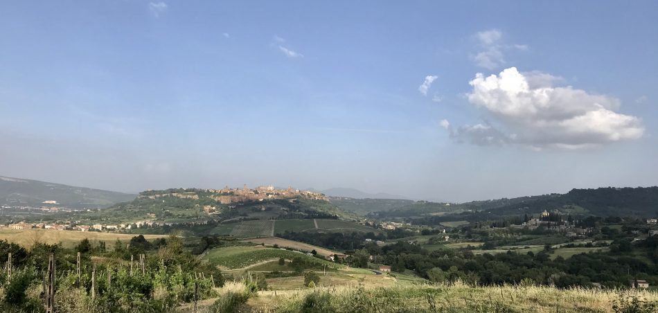 Orvieto ed il suo territorio, con le vigne abbracciate alla rupe su cui sorge la città