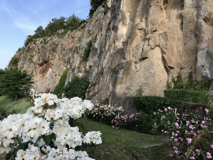 Orvieto ed il suo territorio, con le vigne abbracciate alla rupe su cui sorge la città