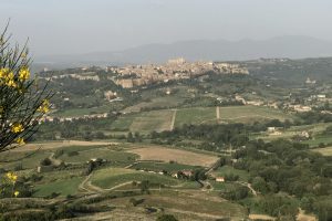L’Orvieto, vino che fu amato da Imperatori e Papi, tra i bianchi storici d’Italia, guarda al futuro L’Orvieto, vino che fu amato da Imperatori e Papi, tra i bianchi storici d’Italia, guarda al futuro