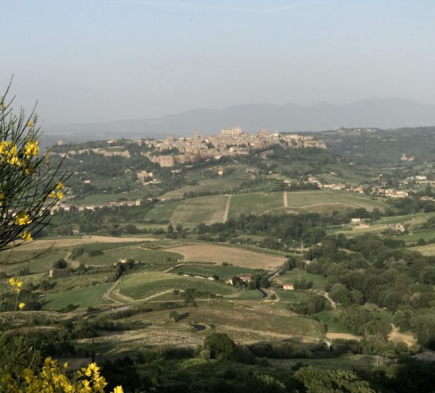 Orvieto ed il suo territorio, con le vigne abbracciate alla rupe su cui sorge la città