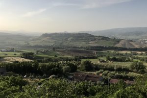 Da grande storia, alla caccia di un grande futuro: il rilancio dell’Orvieto, storico bianco d’Italia Da grande storia, alla caccia di un grande futuro: il rilancio dell’Orvieto, storico bianco d’Italia
