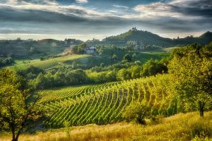 Gavi, il territorio del bianco del Piemonte che bacia la Liguria, tra qualità del vino ed enoturismo