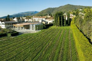 Bortolomiol e Land Art: un’opera che celebra la potenza femminile per i 70 anni della cantina