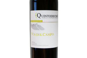 Quintodecimo, Doc Irpinia Falanghina Via del Campo 2017