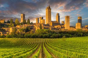Irina Guicciardini Strozzi al vertice del Consorzio della Vernaccia di San Gimignano