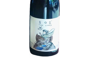 Stefano Amerighi, Vino Bianco Noé 2015